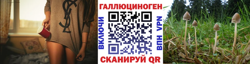 Галлюциногенные грибы Magic Shrooms  где продают наркотики  Новоаннинский 