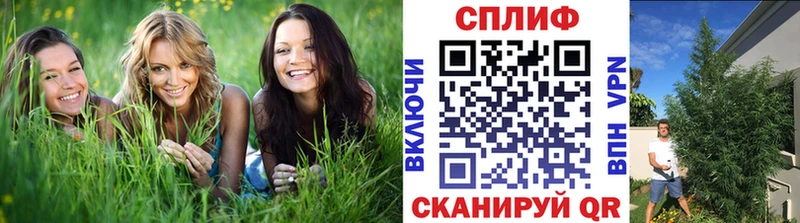 Каннабис SATIVA & INDICA  shop телеграм  Новоаннинский 